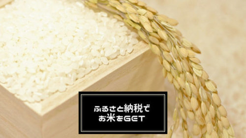 1万円台の寄付で20kg｜ふるさと納税のコスパ最大級！2000円で大量のお米をゲットする方法