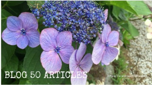 50-articles