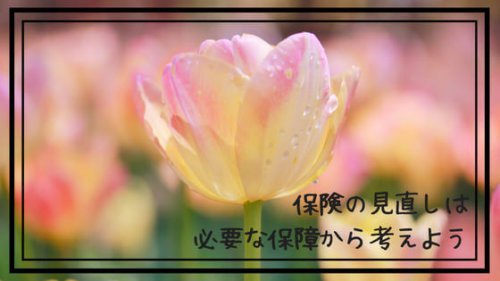 保険の見直し完了！必要なときに、金額なだけの保障を。不安だからって高い保険に入る必要はない！