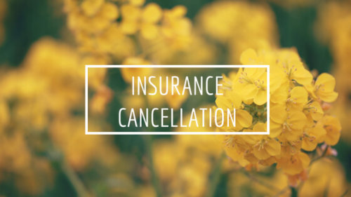 insurance cancellation