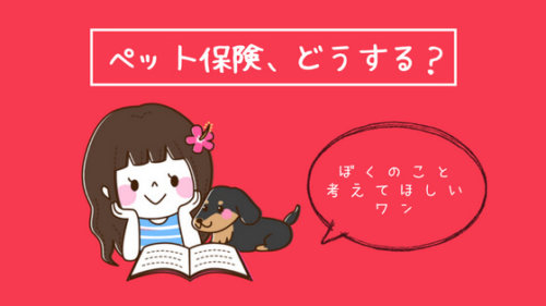 犬の医療費、今すぐ必要？ペット保険の加入は【0〜1歳】【5歳以降】をおすすめする理由