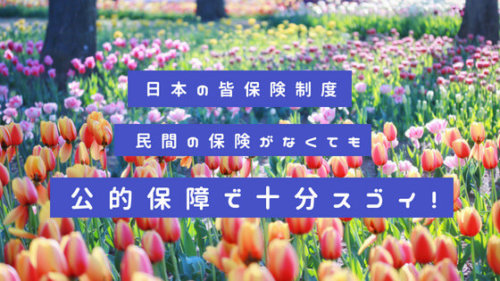 知らなかった！日本の社会保険・公的保障はスゴイ。民間の保険がなくても手厚い！