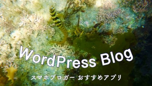 WordPressブログをスマホで更新！おすすめiPhoneアプリ