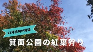 箕面公園の紅葉狩り