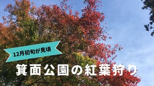 箕面公園の紅葉狩り