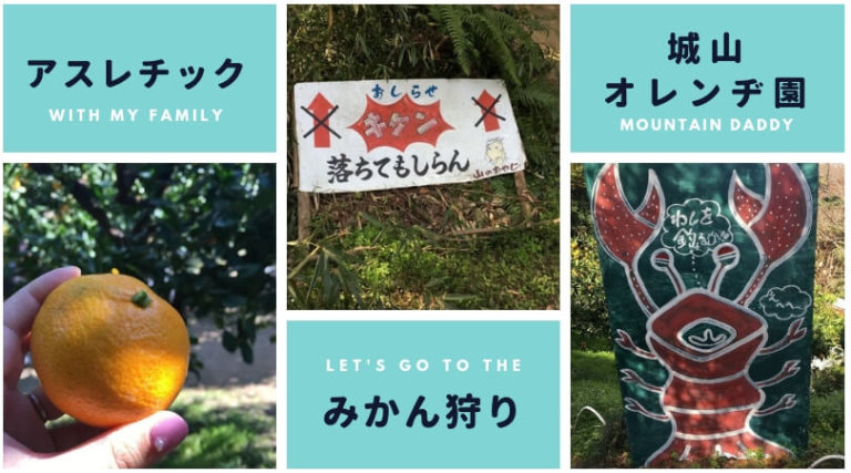 子連れで楽しめる 城山オレンヂ園 のみかん狩り アスレチック 大阪 富田林 シーアカフェ