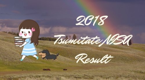 2018-tsumitate-nisa-result