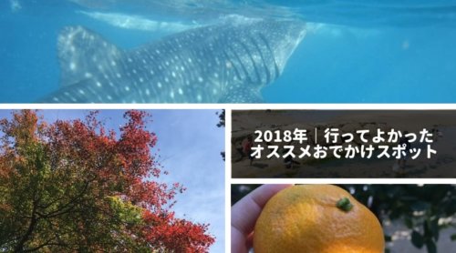 2018年、行ってよかったおでかけスポット4選【子連れ】【関西＆セブ島】