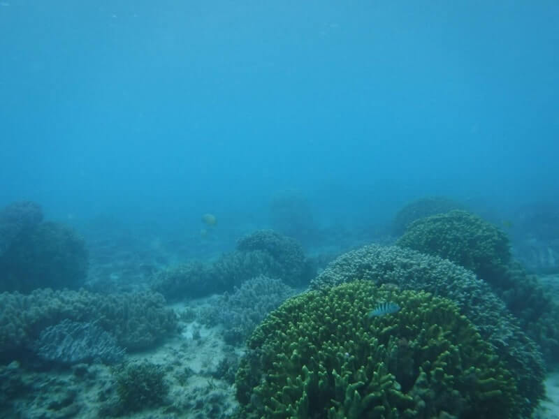 沖縄の海｜体験ダイビング2