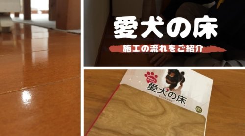 愛犬の床｜見積りから施工までの流れを解説！丸1日で滑らないフローリングに