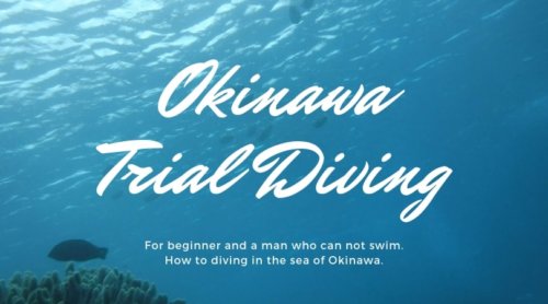 okinawa-trial-diving