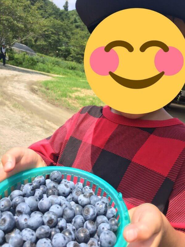 信貴山のどか村｜ブルーベリー狩り｜山盛り