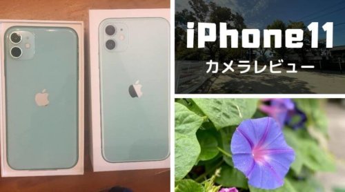 写真好きが選んだiPhone11のカメラレビュー｜iPhone11 Proじゃなくても大満足！