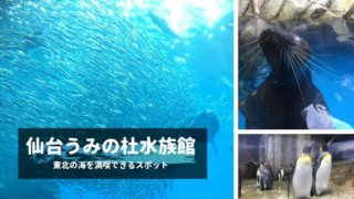 sendai-sea-aquarium