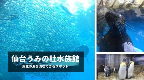 仙台うみの杜水族館の感想・レビュー｜東北の海を満喫できるスポット