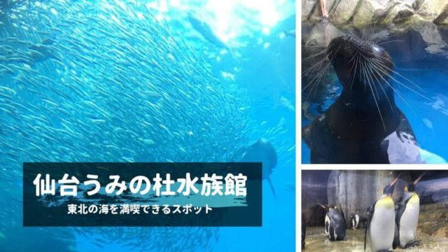 sendai-sea-aquarium